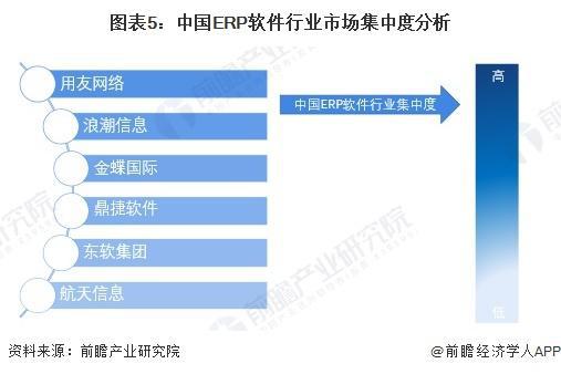 2025 2030年中國(guó)erp軟件龍頭企業(yè)軟件業(yè)務(wù)布局分析